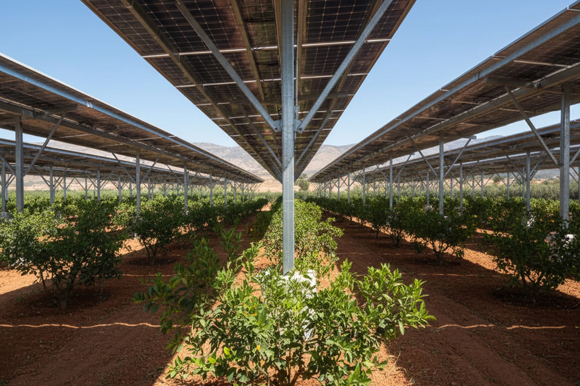 Agrivoltaics Morocco